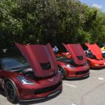 StElzabeths_033 (May 17, 2019)